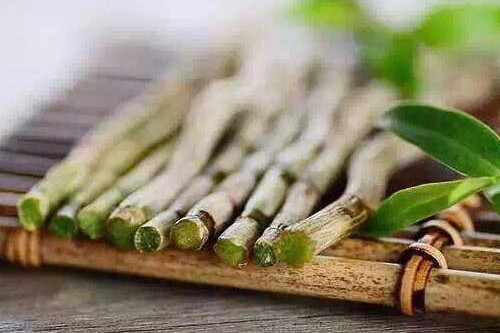 IMG_1936-500x439 IMG_1936-500x439