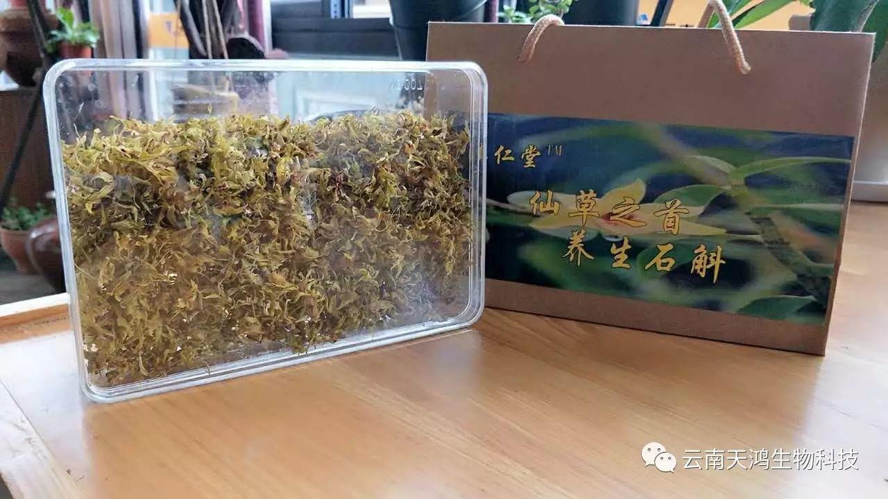 仙草之首 蟲(chóng)草之上---石斛花 仙草之首 蟲(chóng)草之上---石斛花