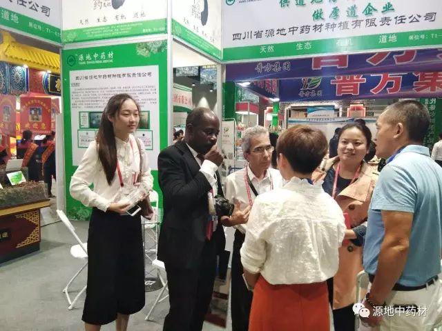 “一帶一路”給中醫(yī)藥的發(fā)展帶來了新的機遇及其應對策略 “一帶一路”給中醫(yī)藥的發(fā)展帶來了新的機遇及其應對策略