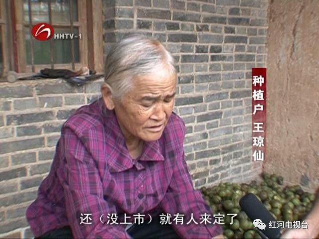 【砥礪奮進(jìn)的五年】彌勒：荒坡地長(zhǎng)出“金疙瘩”