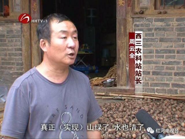 【砥礪奮進(jìn)的五年】彌勒：荒坡地長(zhǎng)出“金疙瘩”