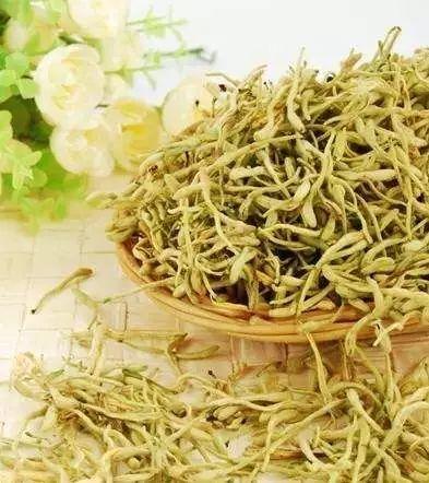 2017年最火中藥種植項目大匯總 2017年最火中藥種植項目大匯總