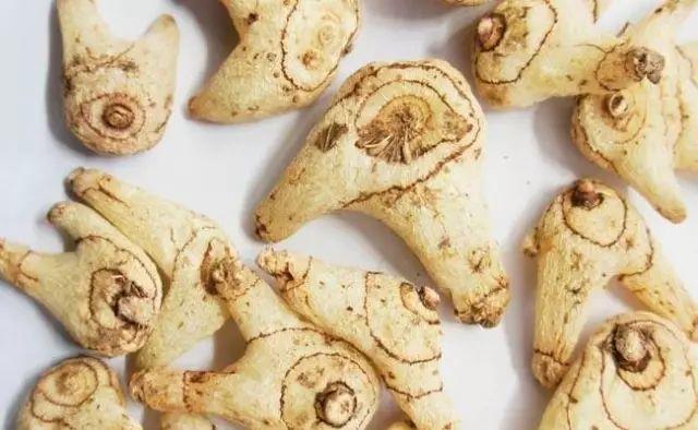 2017年最火中藥種植項目大匯總 2017年最火中藥種植項目大匯總