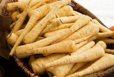 2017年最火中藥種植項目大匯總 2017年最火中藥種植項目大匯總