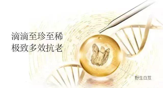 央視七套對“白芨面膜”的真實報道 央視七套對“白芨面膜”的真實報道