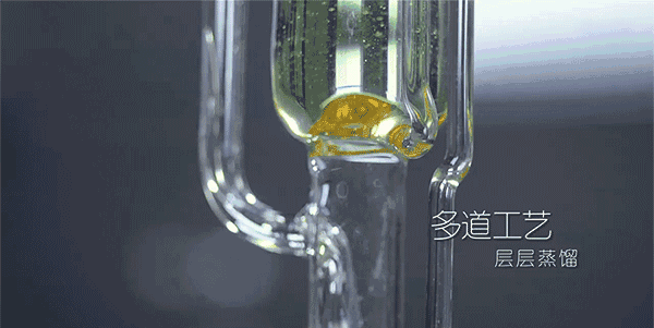 央視七套對“白芨面膜”的真實(shí)報(bào)道