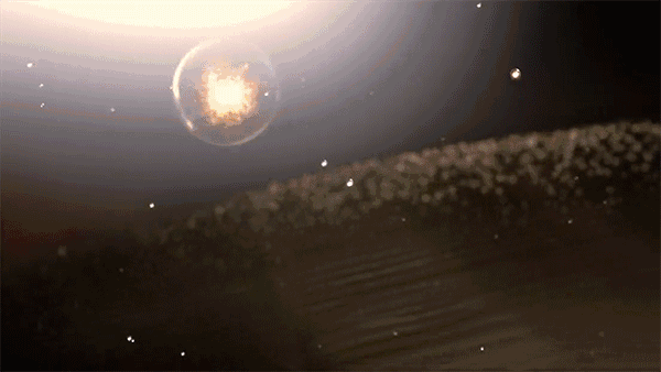 央視七套對“白芨面膜”的真實報道 央視七套對“白芨面膜”的真實報道