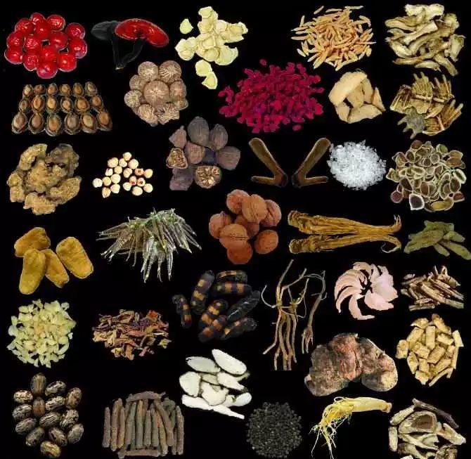 藥 食 同 源 藥 食 同 源