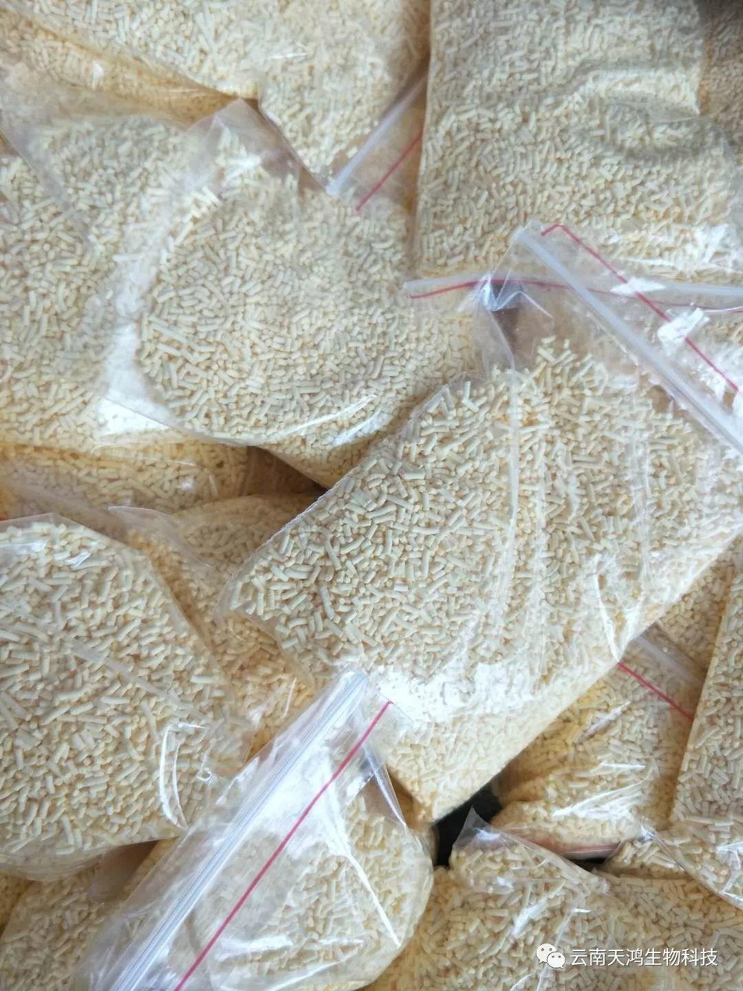 黃精除草劑實用效果圖