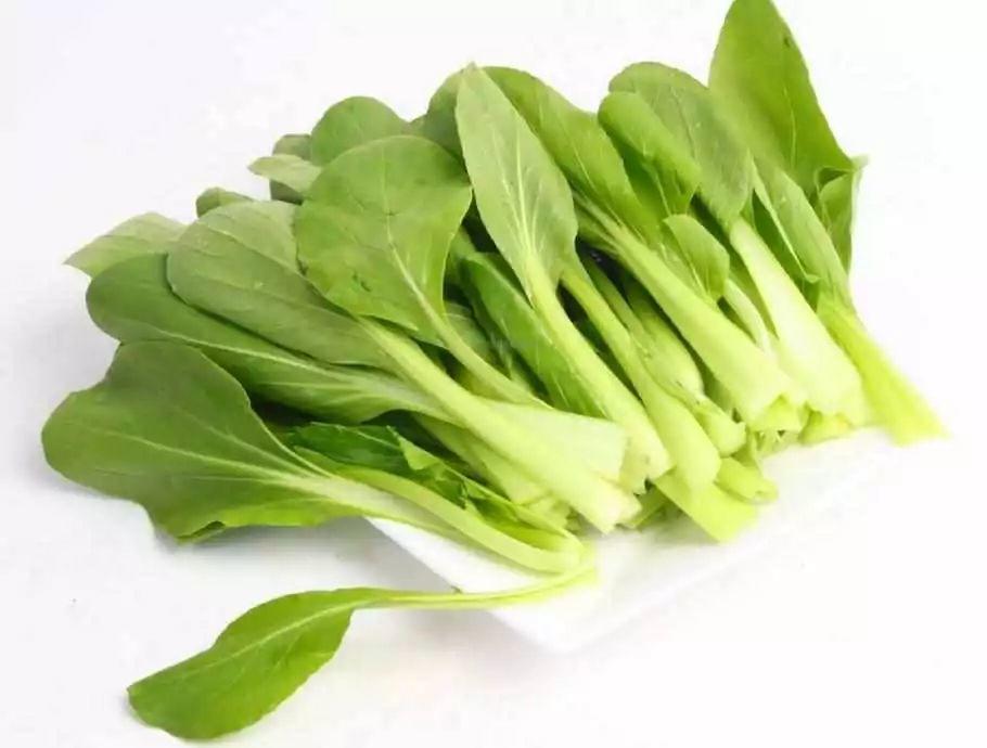 藥 食 同 源 藥 食 同 源