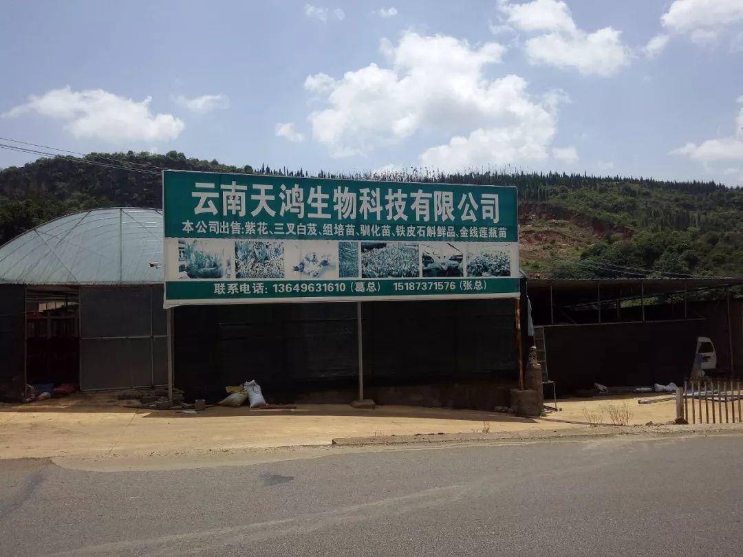 云南天鴻-----科技共享，共贏未來