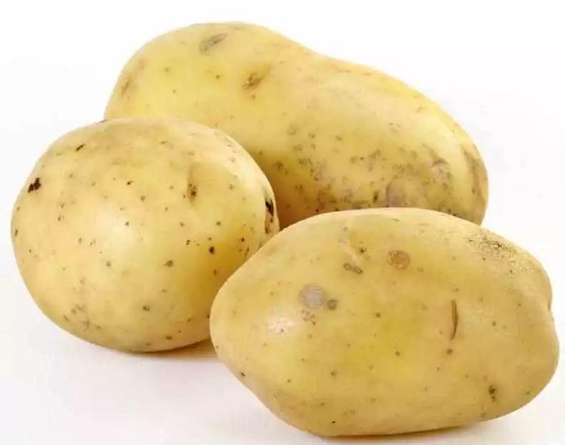 藥 食 同 源 藥 食 同 源