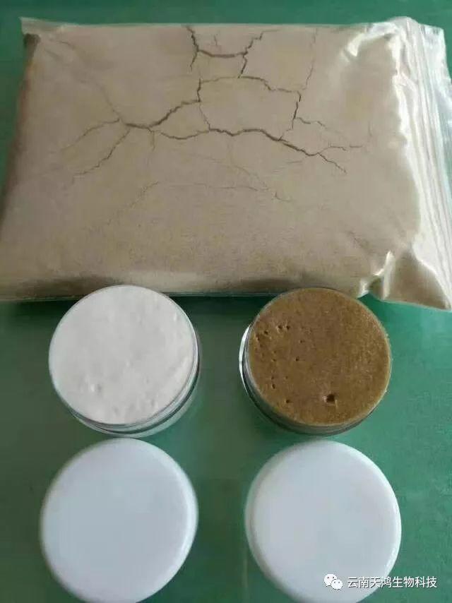 純中藥祛痘，祛斑，祛粉刺，祛過敏藥膏，面膜粉。三天見效。